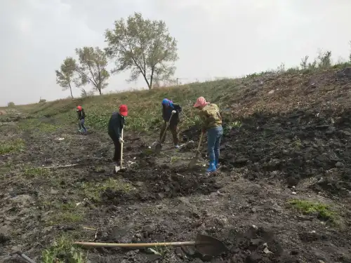 调兵山市大明镇沙后所村清理河道卫生保障河道安全畅通