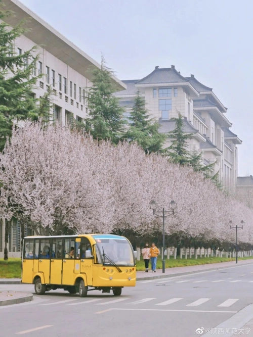春日限定·陕西师范大学
