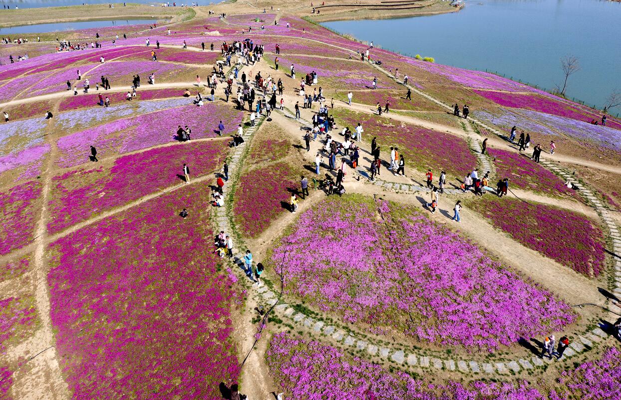 4月4日,游人在安徽省亳州市华佗百草园景区游览.
