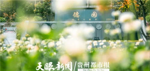 花溪福泽园:推广节地生态新风尚 倡导文明祭扫入人心