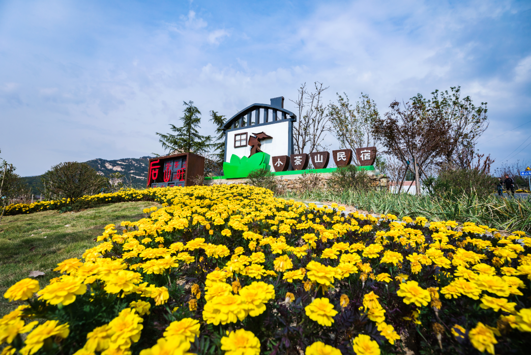 岚山区巨峰镇后山旺村