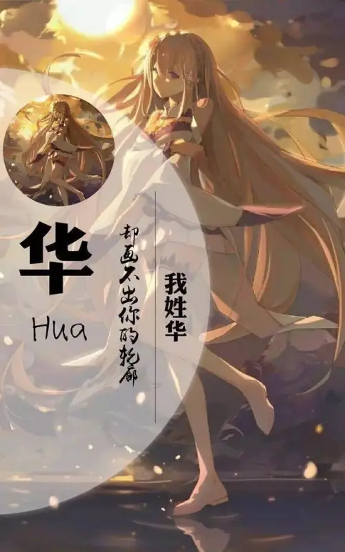 我姓华,却画不出你的轮廓