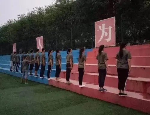 15596171148960482.jpg