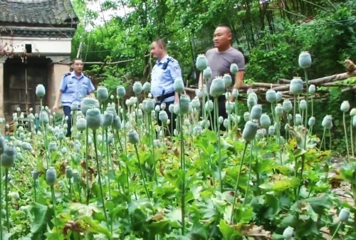 微信图片_20190612082513.jpg
