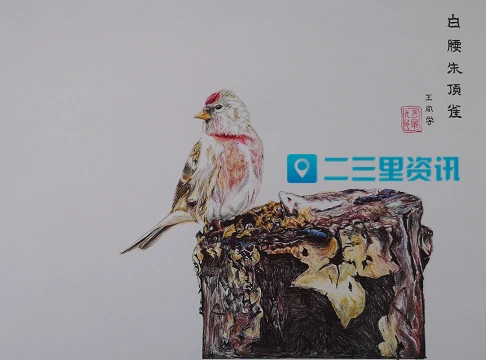 微信截图_20190702102943.png