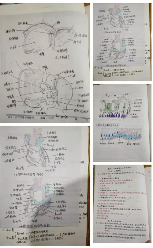 156376345132276037.jpg 微信图片_20190722103647.jpg