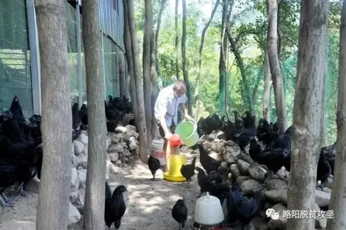 登录查看大图