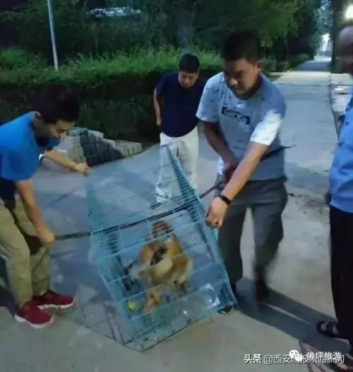 登录查看大图