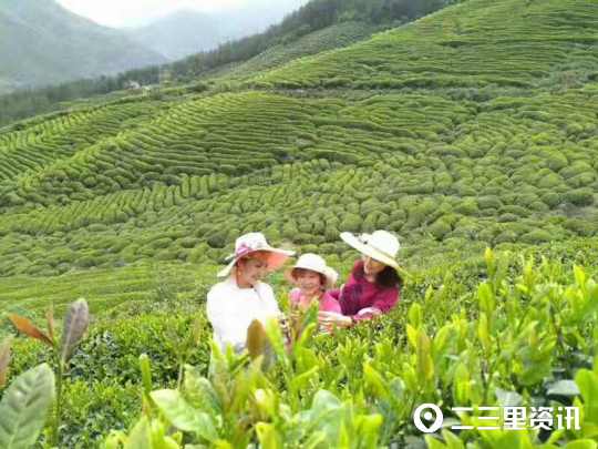 微信图片_20190822155454.jpg