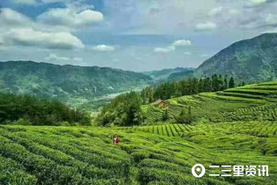 微信图片_20190822155528.jpg
