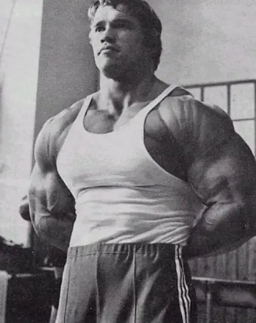 施瓦辛格70多岁肌肉图片