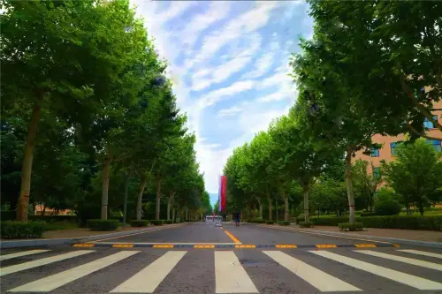 157086640215112099.jpg 微信图片_20191012153811.jpg