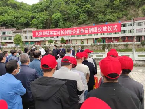 “陜西省見義勇為英雄”王元慧：公益投放40萬尾魚苗改善漢江源水質(zhì)