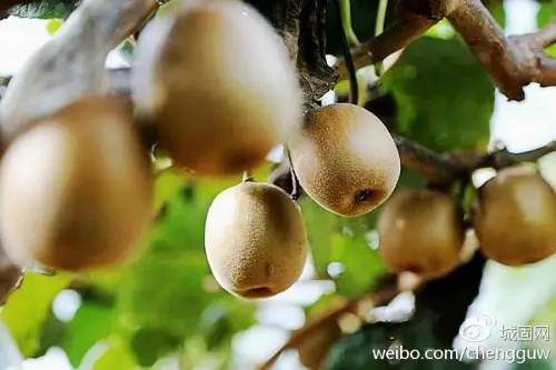 微信图片_20200514183509.jpg