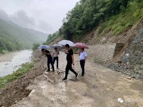 寧強(qiáng)縣最美農(nóng)村公路建成通車！