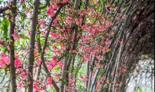 漢臺竟然藏了座“蘇州園林”，一步一景皆是美！