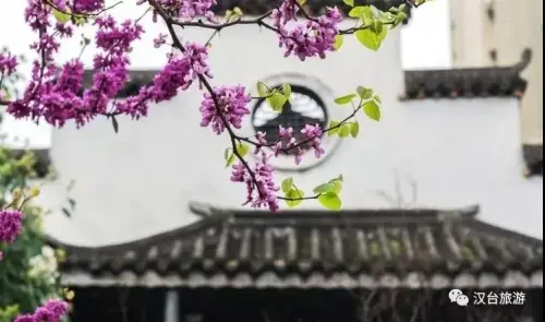 汉台竟然藏了座“苏州园林”，一步一景皆是美！