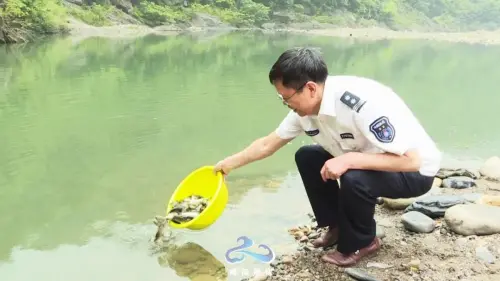 四川男子在略陽非法毒魚，被罰增殖放流！