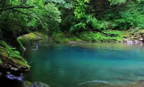 晴雨交加擋不住出游的熱情，漢中黎坪景區端午小長假平穩有序