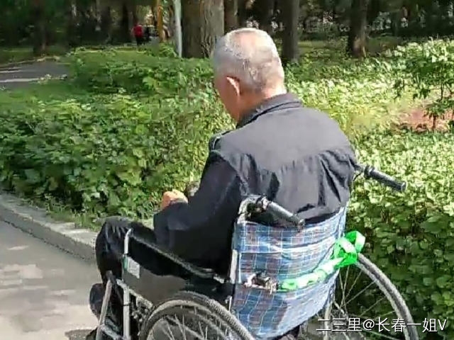老年人坐轮椅照片图片