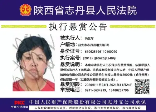 16076544865989935.jpg 志丹8.jpg