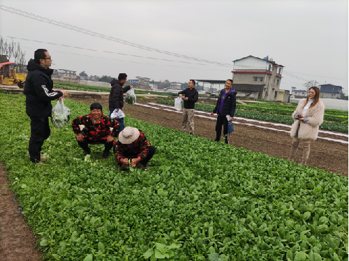 水口鎮蔬菜抽檢