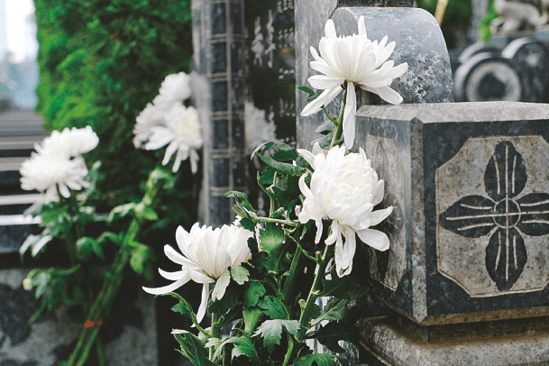 幾枝白菊,肅然莊重.