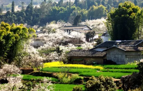 最適合出門踏青 去德昌踏春出遊吧 櫻緣谷國家3a級旅遊景區位於德昌