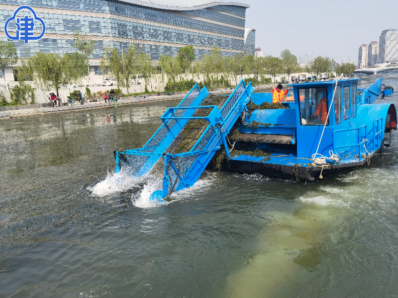 天津实施中心城区河道水草打捞 维护河道水生态环境