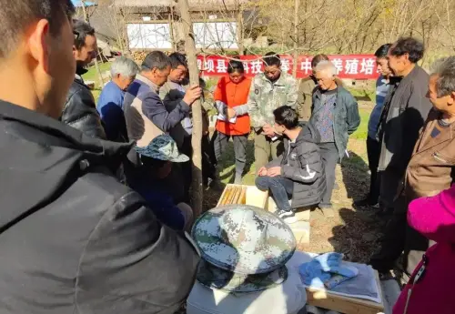 喜报！汉中6个单位受到省级通报表扬
