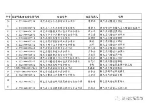 長(zhǎng)期停業(yè)未經(jīng)營(yíng)，鎮(zhèn)巴249家企業(yè)、農(nóng)民專業(yè)合作社擬被吊銷